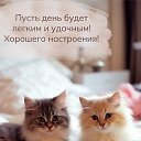 ���� �����, ������������ - ��������� 3 ������� 2025 � ������ ������ ��������