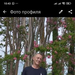 ���������, 59 ���, ����