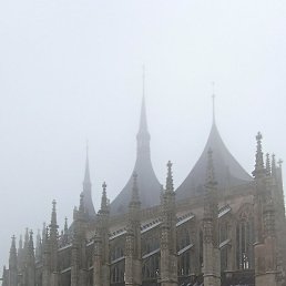 ����, ������, 41 ���