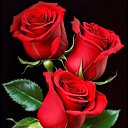  ,, ,  , 51  -  2  2025    