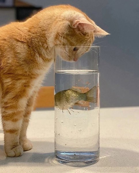 :) ...Незагаданные желания исполняются гораздо чаще, чем загаданные. Только ведь не угадаешь, что не ...