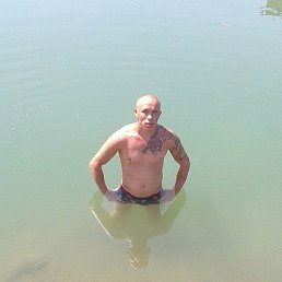 ����, ���������, 37 ���