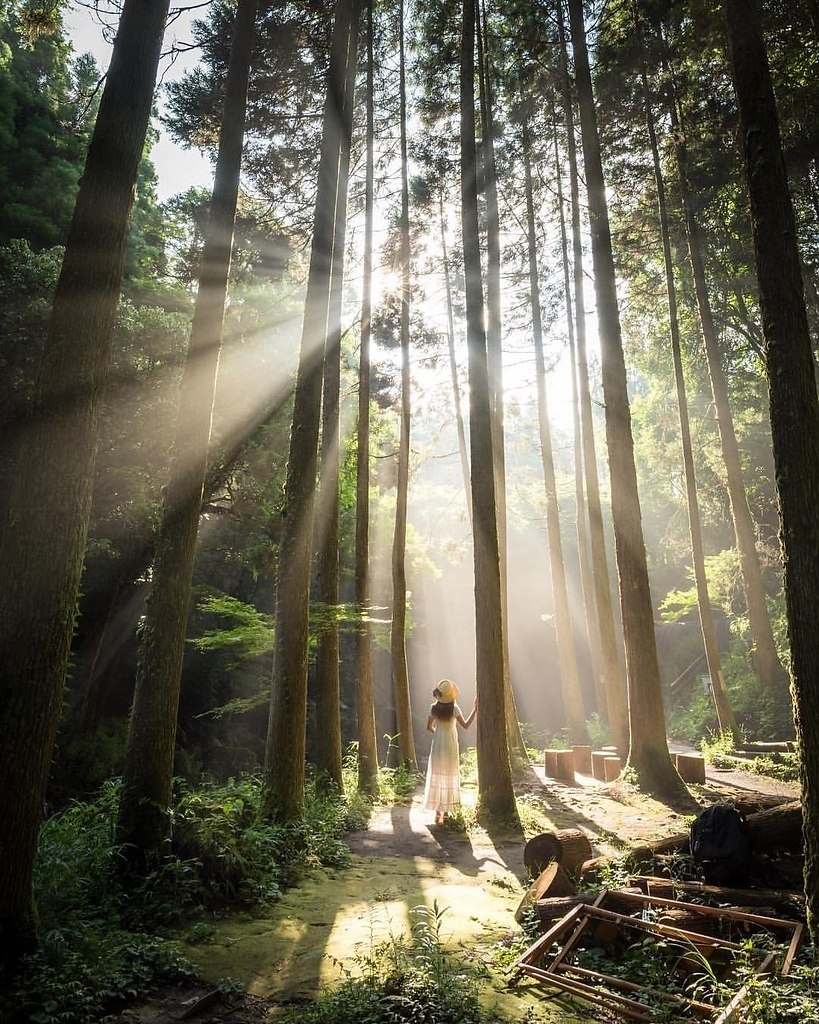 ��, ��� ������ ������� ���� ���������, �� ���� �� ��������� ����� ��������� ���. � ������� �����