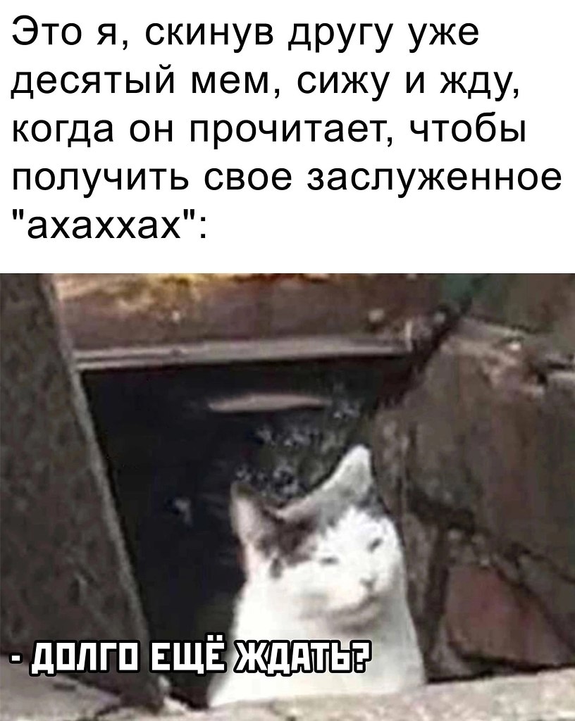   !