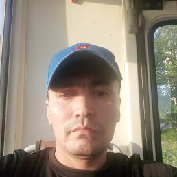 , 33, 