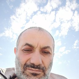 , 46, 