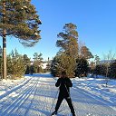 ���� ���������, �����, 37 ��� - ��������� 16 ������ 2026 � ������ ������ ��������