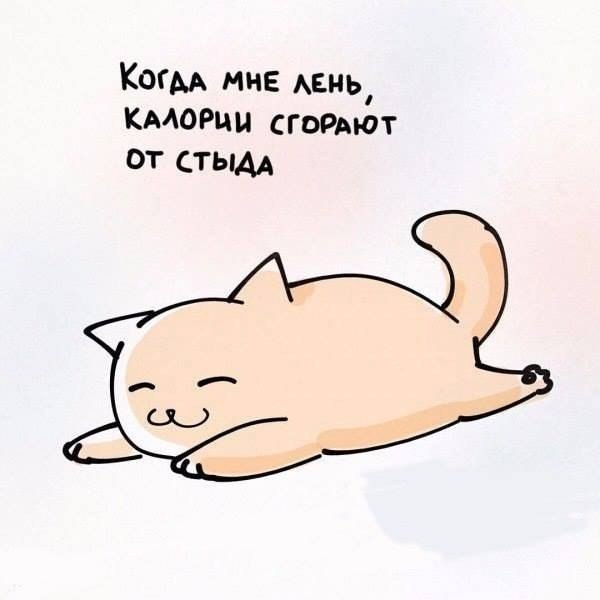  - 7  2025  15:51 - 5