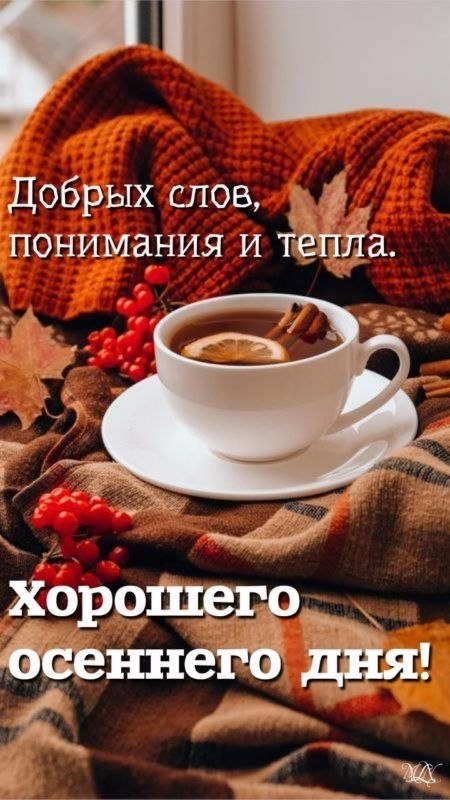   ,    . - 9  2025  13:04 - 3