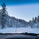 ���� ����, ������, 46 ��� - ��������� 3 ������ 2023