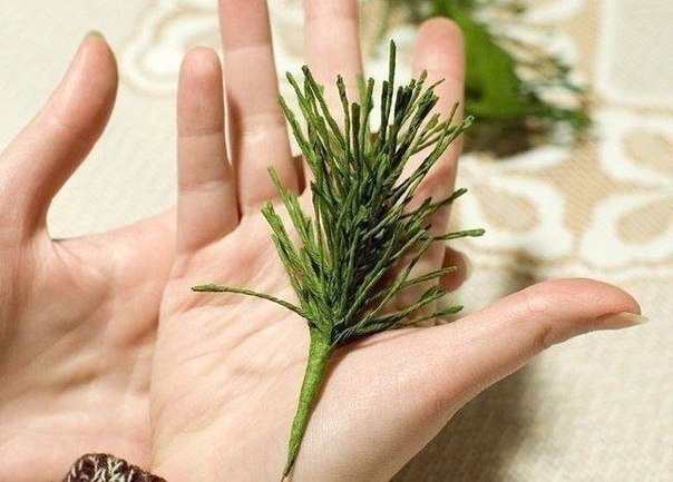 ������ ������� � ������� �� ������������� ������ - 5