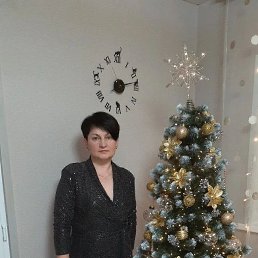 ���� �����, ������, 51 ��� - ��������� 13 ������� 2026