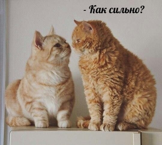       - 23  2025  11:24 - 2