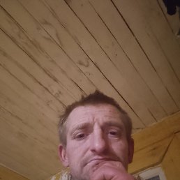 ������, 38 ���, ����������