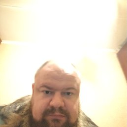 ������, 41 ���, ����