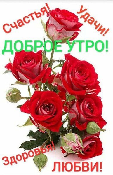 ***Victoria Viktorovna*** - 29  2023  03:01