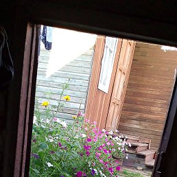 ���� ������� ����, ������, 50 ��� - ��������� 25 ������� 2024