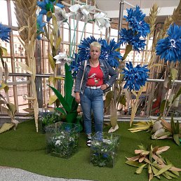 ���� ��������, �����, 44 ���� - ��������� 26 ������ 2025