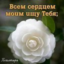 ���� �������, ���� - ��������� 15 �������� 2025 � ������ ������ ��������