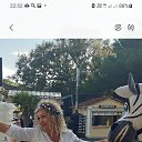 ���� �������, ������, 106 ��� - ��������� 4 �������� 2024 � ������ ���� ����������