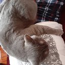 ���� ���������, ����� - ��������� 2 ������ 2025 � ������ ���� ����������