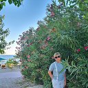  , --, 55  -  26  2025    