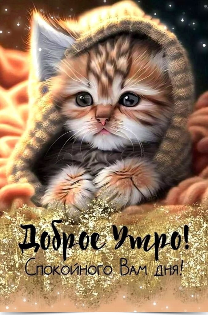 ****************************