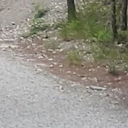 ����, 46 ���, ���������