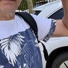 ����, �����-���������