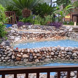 ���� �����, ������ - ��������� 18 ���� 2025