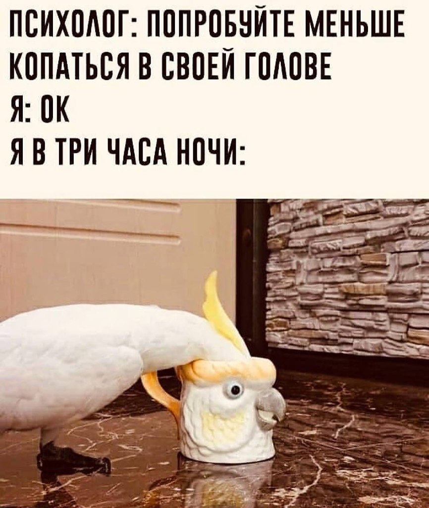    - 29  2024  23:40