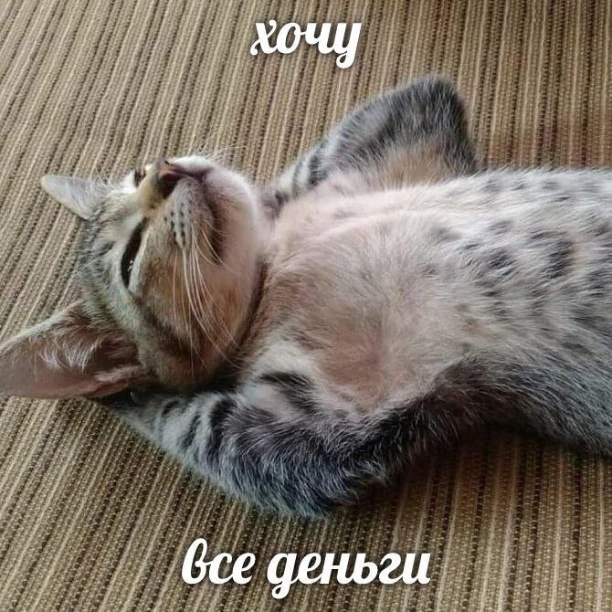    ?    ...      ))