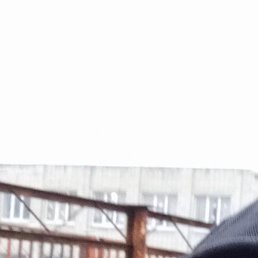 ��������, ������-��-����, 40 ���