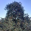 ���� Ali, ����, 28 ��� - ��������� 25 ������� 2023 � ������ ���� ����������