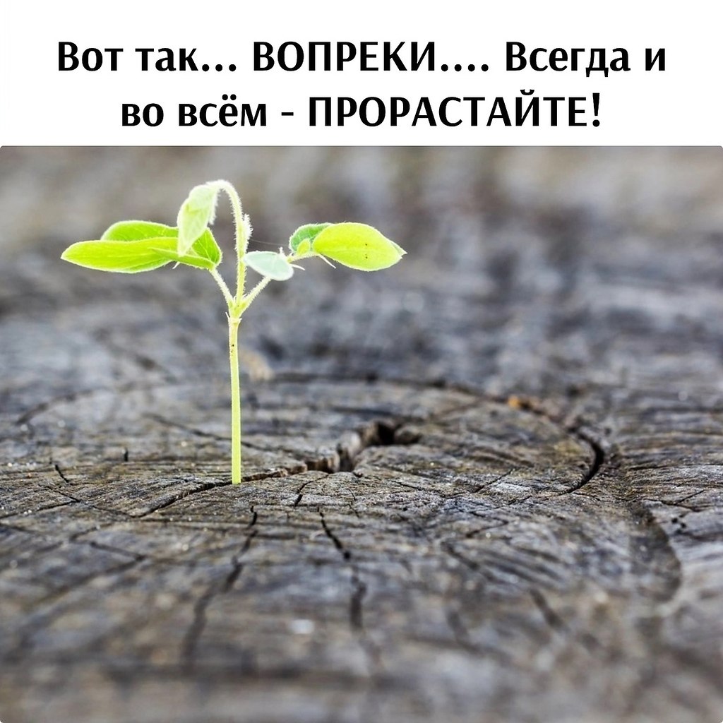   - 16  2025  18:54