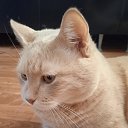 ���� ����, ������, 35 ��� - ��������� 29 ������ 2024