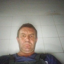, 41, 