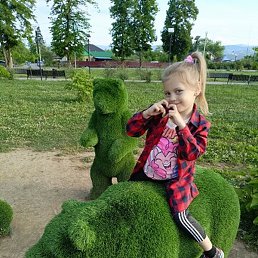 ��������, ������, 41 ���