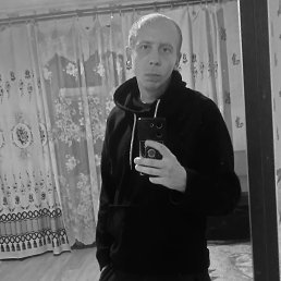 , 29, 