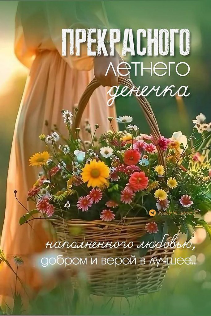  ,    . - 8  2025  13:35