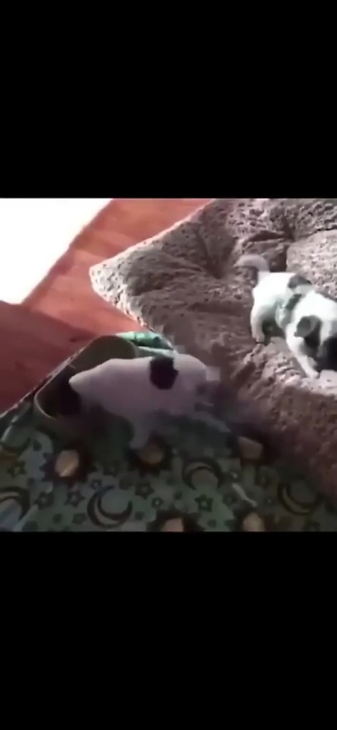 ���������, ��� �� ������� ���