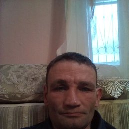 , 44, 