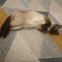 ���� ���, ������, 43 ���� - ��������� 19 ����� 2024 � ������ ���� ����������