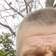 , 48 , 