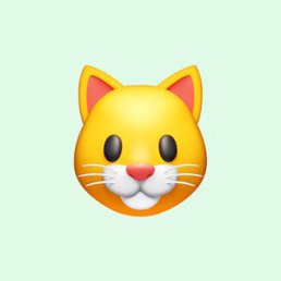 �����, ������, 22 ����