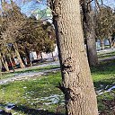 ���� ������, ������������, 55 ��� - ��������� 29 ������ 2026 � ������ ������ ��������