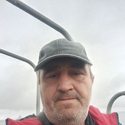 , 44, 