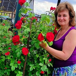 �������, 38 ���, ������