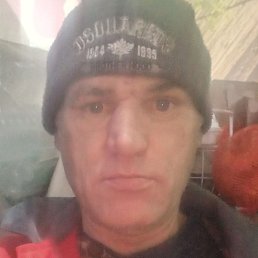 ���, ������, 50 ���