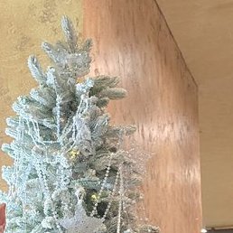 �������, ������, 25 ���